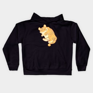 sad cat chonky tiger Kids Hoodie